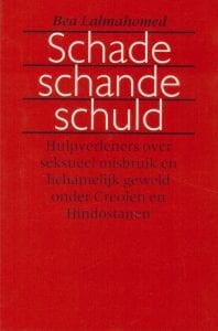 Boek Schade, Schande, Schuld